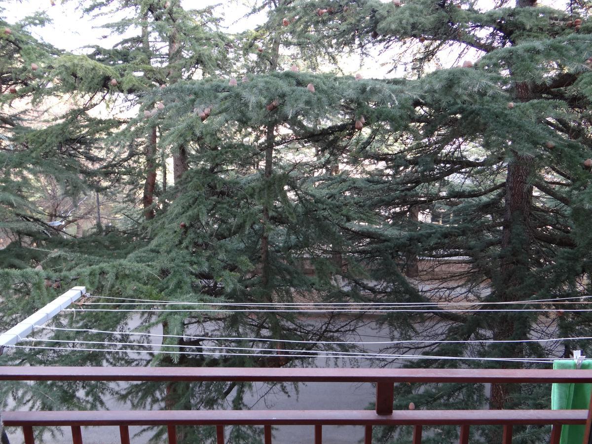 Dilijan Apartments Bagian luar foto
