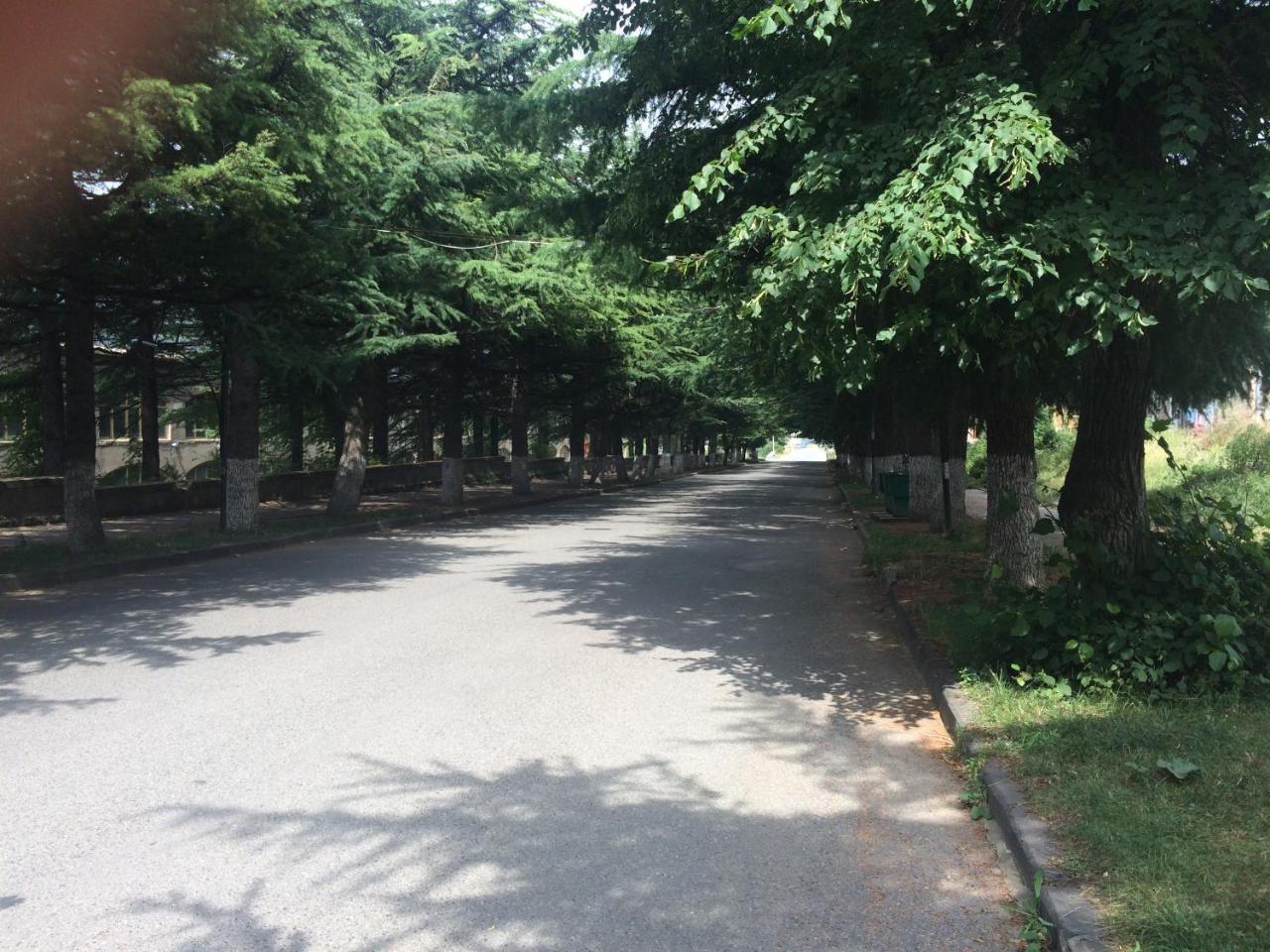 Dilijan Apartments Bagian luar foto